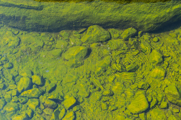 green of hot spring pond closeup