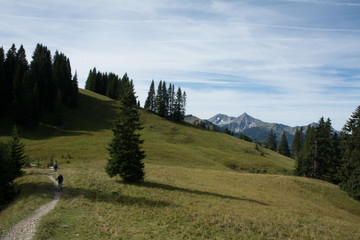 Fototapeta na wymiar Tannheimer Tal, Wandertour, Österreich