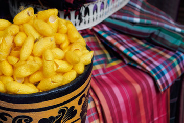 The cocoon brings the dyed fibers to be woven into silk patterns.