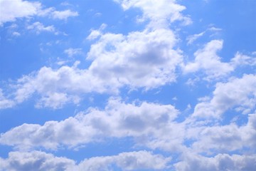 初夏の青空　高積雲 - obrazy, fototapety, plakaty