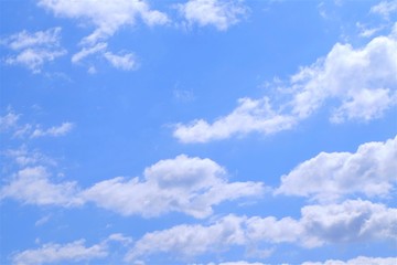 初夏の青空　高積雲 - obrazy, fototapety, plakaty