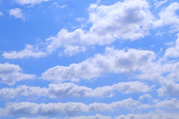 初夏の青空　高積雲