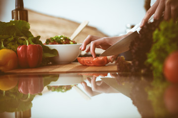 Unknown human hands cooking in kitchen. Woman slicing red tomatoes. Healthy meal, and vegetarian food concept