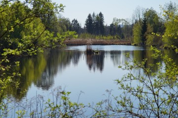 Ruhe finden in Moorlandschaft