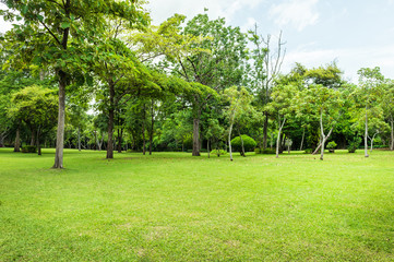 Obraz premium Green of Garden Landscape With Cloudy sky