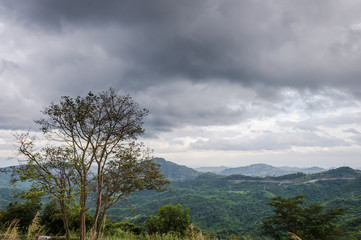 Landscape of mountain green forest and clouds sky