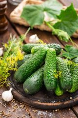 Fermenting cucumbers, cooking recipe salted or marinated pickles with garlic and dill with ingredients on kitchen wooden rustic background