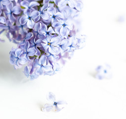 Fresh lilac flowers in a glass vase on the white table. Spring concept.