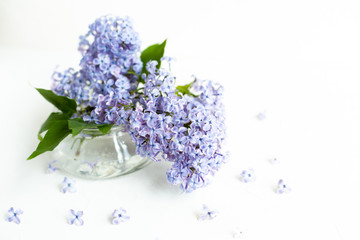 Fresh lilac flowers in a glass vase on the white table. Spring concept.