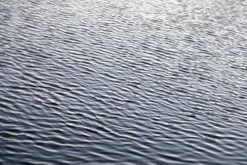 Surface d'eau ondulée avec des vaguelettes