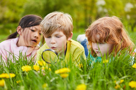 Boy and two girls discover nature