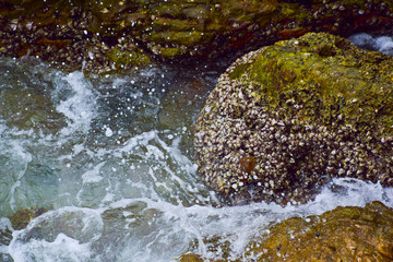 Sea wave hit rock 