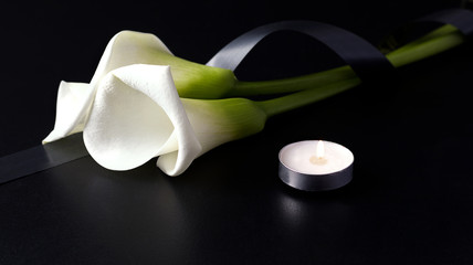White Zantedesia with mourning ribbon and burning candles on a black background. Concept of sorrow...