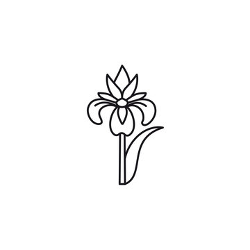 Iris flower vector line icon