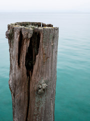 detail of wooden moored structure in a lake