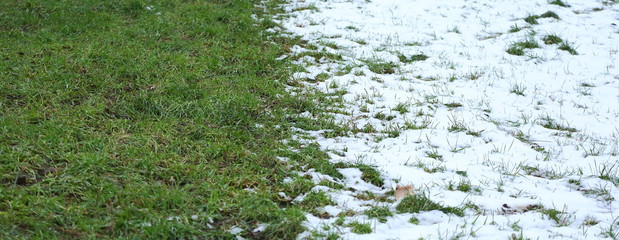 The border of heat and cold that runs through the meadow