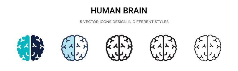 Human brain icon in filled, thin line, outline and stroke style. Vector illustration of two colored and black human brain vector icons designs can be used for mobile, ui, web