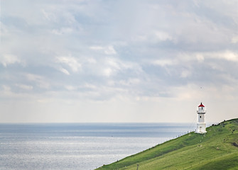 Fototapeta na wymiar Lighthouse with red cap overt the hillside with sheep