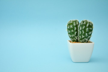 Cactus Tree decoration with a light blue background