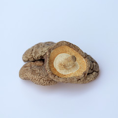 Isolated and close up dried shiitake mushroom ,element of food healthy nutrients concept on white background.
