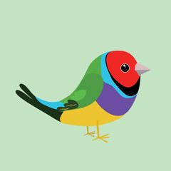 
An illustration of a cute goldian finch on a soft green background. It's a male bird.
