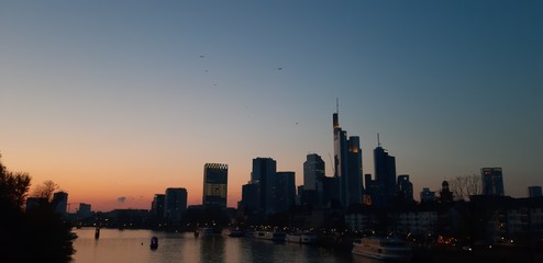 Fototapeta premium chicago skyline at sunset