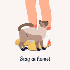 Vector human feet in cozy slippers and Siamese cat and with text Stay at home!