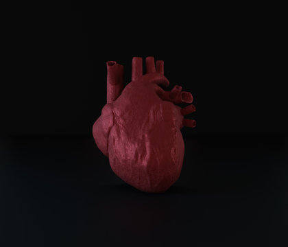 Human heart on a black background. 3d illustration