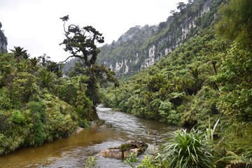 Fototapeta na wymiar river in the mountains of Paparoa N.P. New Zealand