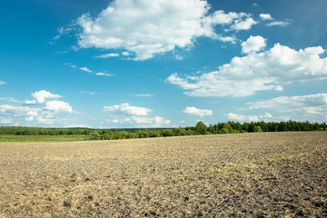 A large plowed field, forest on the horizon and clouds on a blue sky