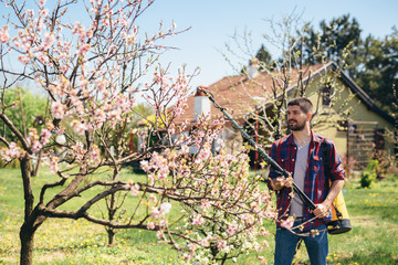 Man hand spraying blooming tree in orchard with garden bottle aerosol against pest