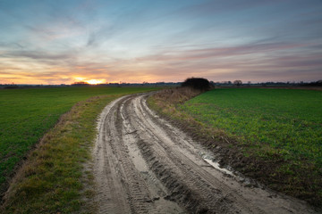 Fototapeta na wymiar Dirt road through green fields, colorful clouds after sunset