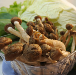 mushrooms in a basket , food , brown, healthy, vegetable,green