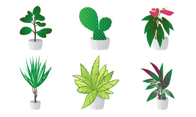 Set of decorative house plants in pots. Vector illustration in flat cartoon style.