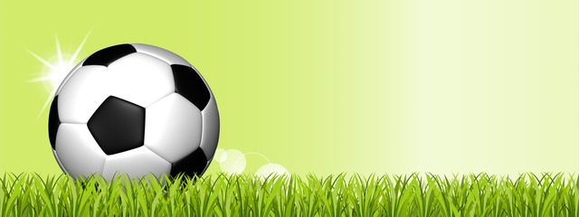 Soccer Ball On Green Grass Field - 3D Illustration With Copy Space - Isolated On Green Background With Sunbeams