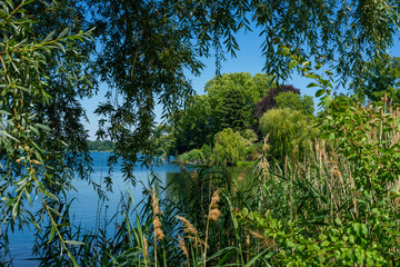 The Heiliger See between Potsdam and the Berlin-Vorstadt (Brandenburg + Berlin/ Germany) in the summer of 2019.