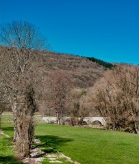 Pont du Suran &agrave; Broissia, France