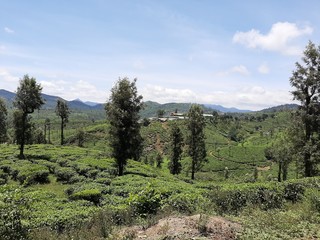 Beautiful Forest, Mountains, dam , tea plants, and sky view from valparai and snehatheeram beach
