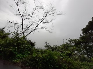 Beautiful Forest, Mountains, dam , tea plants, and sky view from valparai and snehatheeram beach