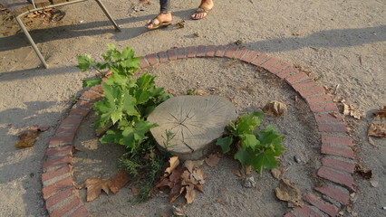 Barcelona is a stunning city in Catalonia. Gaudi's beautiful architecture
