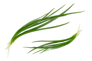 Green onion isolated on the white background