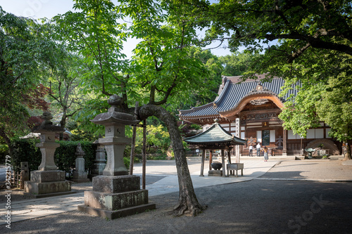 新緑の深大寺境内と本殿 石灯籠には元三大師の名があり 木の柱には 空 風 火 水 地 と梵字で書かれている 深大寺は東京調布市にある古い寺院 Wall Mural 伸介 水田