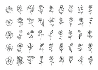 Vector floral set, outline black flowers, simple line art floral collection, line-art different flowers, roses, mac, herbal, lily, for your design isolated on white background