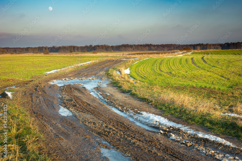 Wall mural Muddy road through green fields, last snow, horizon and moon on the sky