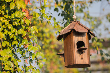 Wooden small bird's nest is hung with the rope under the tree in the park