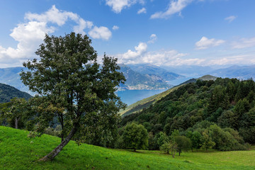 Fototapeta na wymiar Panoramic view of the Como lake from the Saint Primo Mount, Lombardy, Italy.