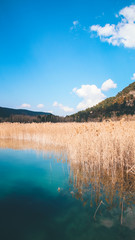 lake in the mountains in early spring