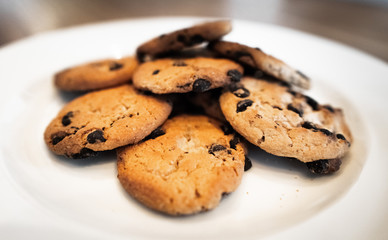 Close-up of homemade chocolate chip cookies. Choc chip cookies in a white plate on a wooden table. Basic drop cookies with chocolate morsels. Traditional handmade chewy cookies with chocolate chunk