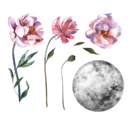 Watercolor moon and flowers. Hand painted watercolor beautiful illustration.