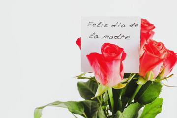Mother's day greeting card on white background: Bouquet of small roses and a handwritten gift card with the inscription Happy Mother's Day in Spanish 